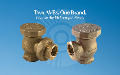 Champion 362 vs 262: When to Use the Union Outlet Backflow Preventer