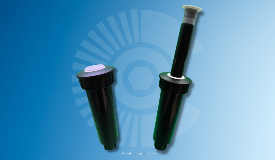 Champion Irrigation Introduces New Check Valve PRS 4” and 6” Pop-Up Spray Bodies