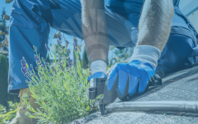 How to Upsell Maintenance Services Without Losing Customer Trust